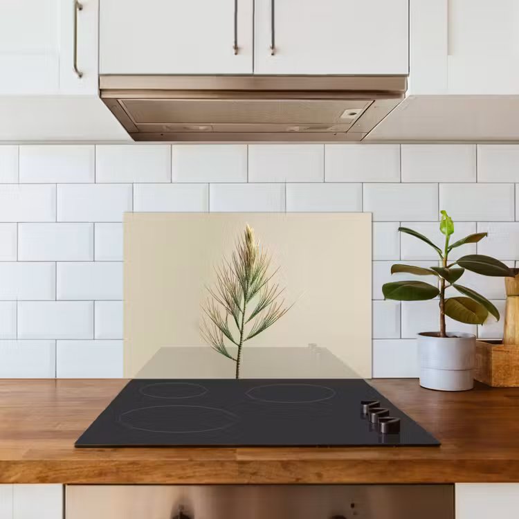 Spatscherm keuken - Dennentak - Naaldvormige bladeren - Lichtgroen — 6