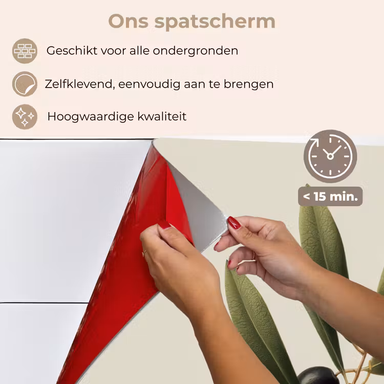 Spatscherm keuken - Olijftak - Donkergroen - Olijven — 4