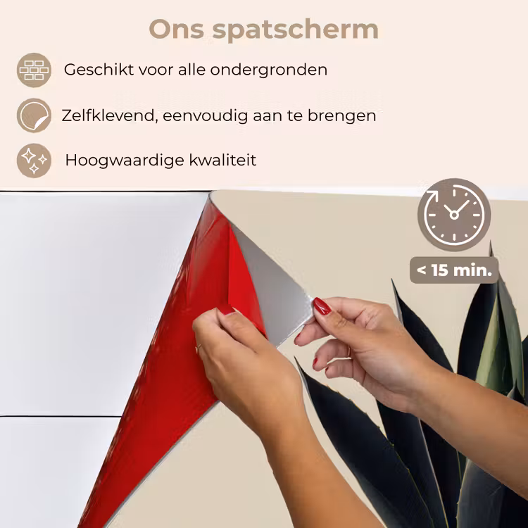 Spatscherm keuken - Agaveplant - Symmetrisch - Groen — 4
