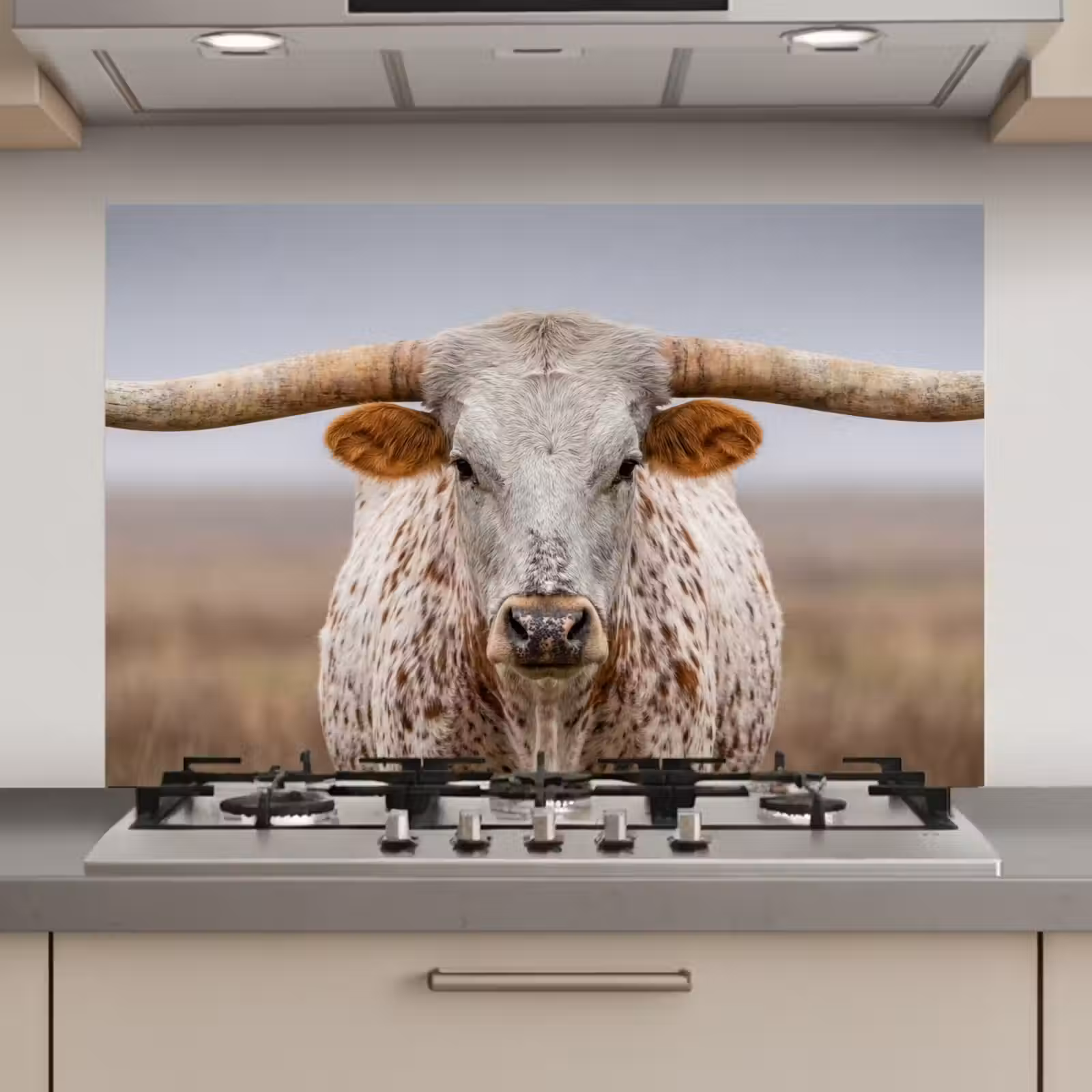 Spatscherm keuken - Longhorn - Grasveld - Dier — 1