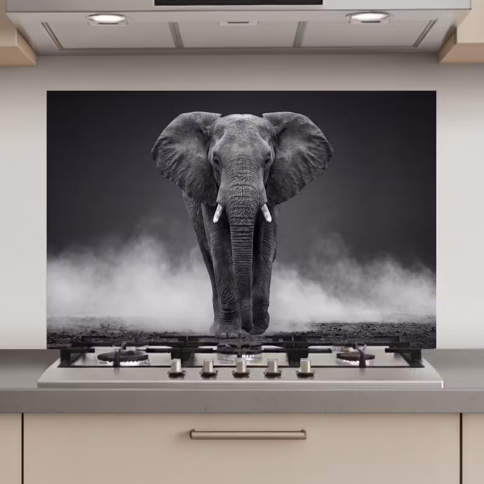 Spatscherm keuken - Olifant - Zwart - Wit - Rook — 1