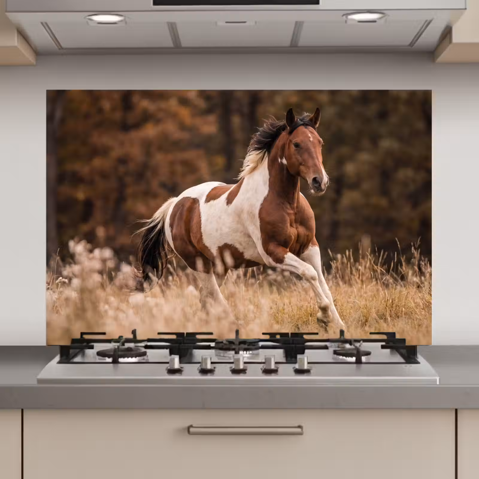 Spatscherm keuken - Paard - Bruin - Gras — 1