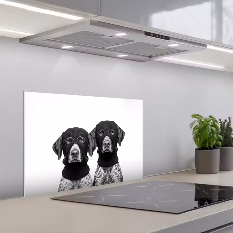 Spatscherm keuken - Honden - Bivakmuts - Zwart - wit — 5
