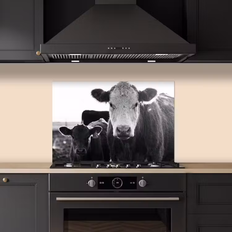 Spatscherm keuken - Koeien - Zwart - Wit — 2