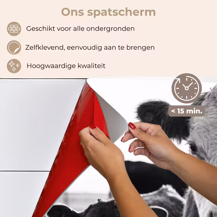 Spatscherm keuken - Koeien - Zwart - Wit — 4
