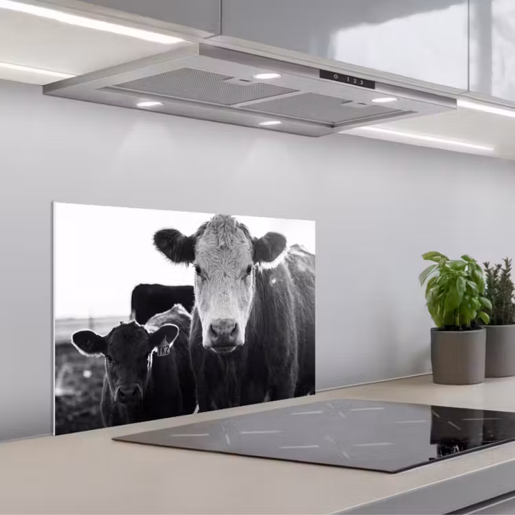 Spatscherm keuken - Koeien - Zwart - Wit — 5