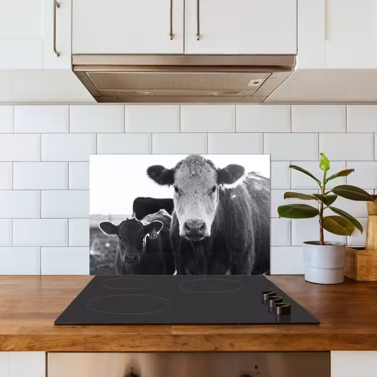 Spatscherm keuken - Koeien - Zwart - Wit — 6