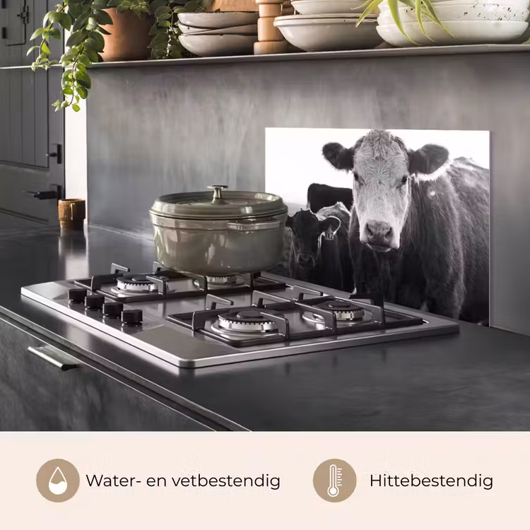 Spatscherm keuken - Koeien - Zwart - Wit — 7