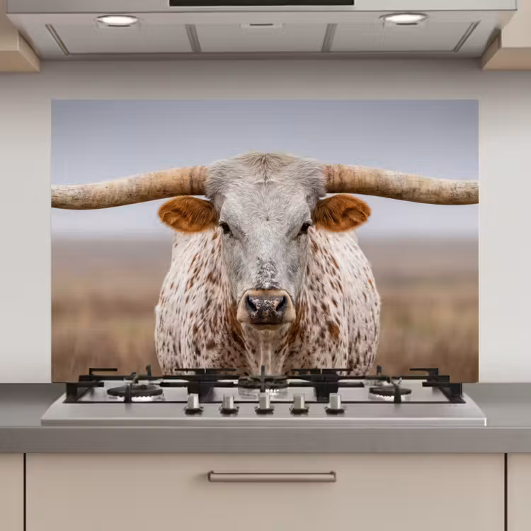 Spatscherm keuken - Longhorn - Grasveld - Dier — 1