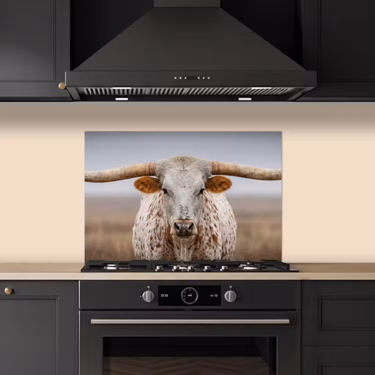 Spatscherm keuken - Longhorn - Grasveld - Dier — 2
