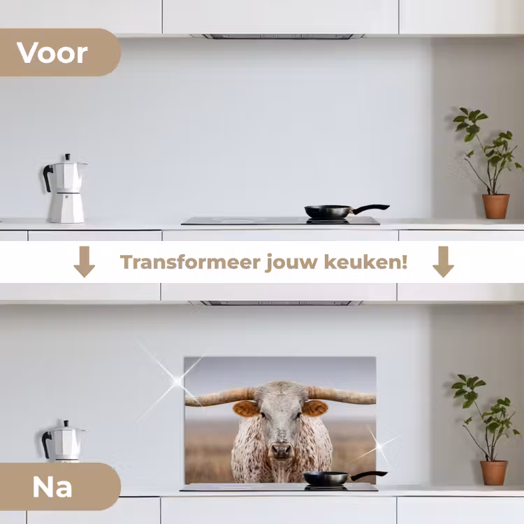 Spatscherm keuken - Longhorn - Grasveld - Dier — 3
