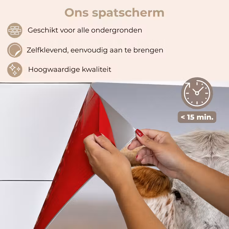 Spatscherm keuken - Longhorn - Grasveld - Dier — 4