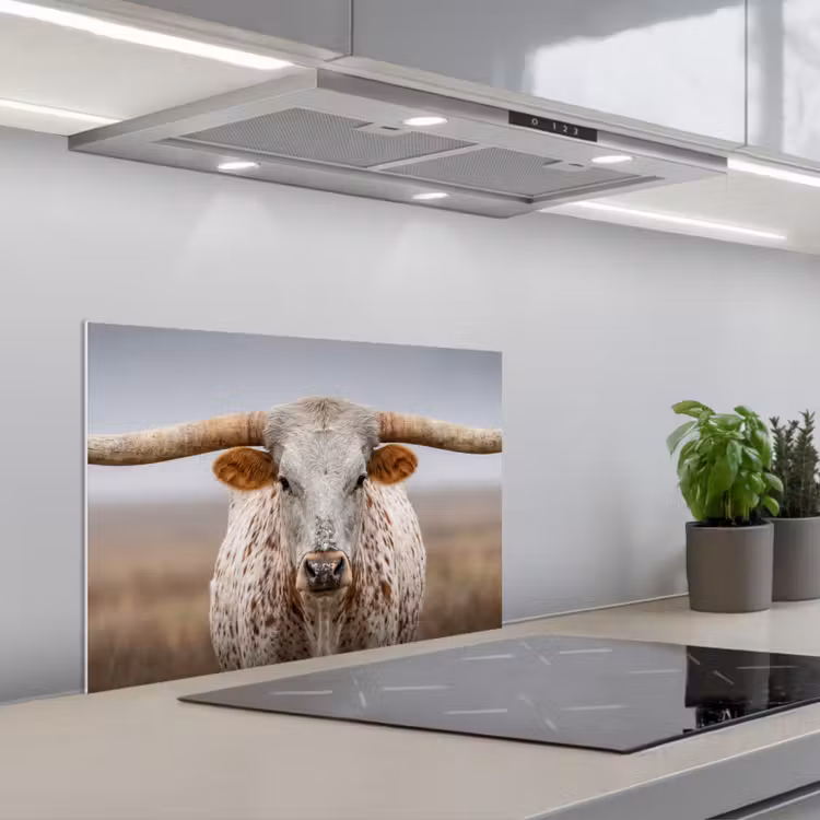 Spatscherm keuken - Longhorn - Grasveld - Dier — 5