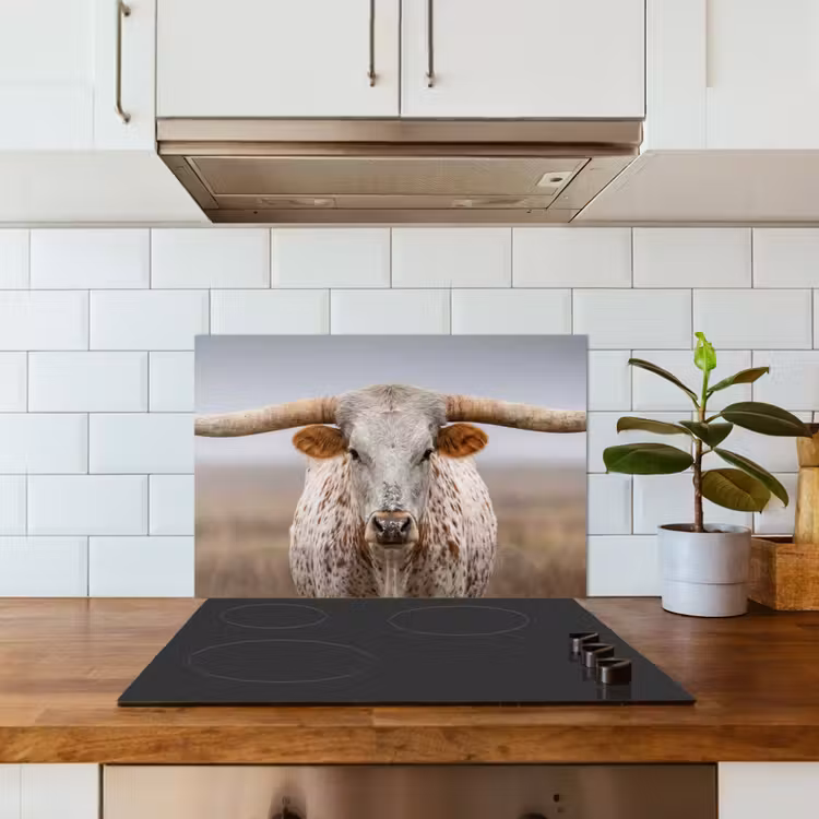 Spatscherm keuken - Longhorn - Grasveld - Dier — 6