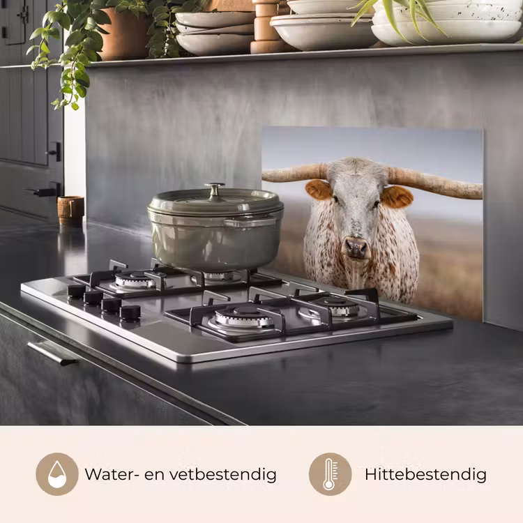 Spatscherm keuken - Longhorn - Grasveld - Dier — 7