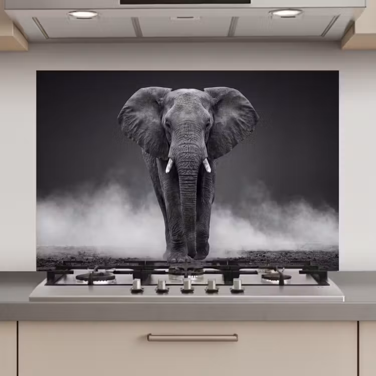 Spatscherm keuken - Olifant - Zwart - Wit - Rook — 1