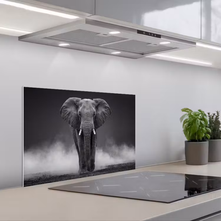 Spatscherm keuken - Olifant - Zwart - Wit - Rook — 5