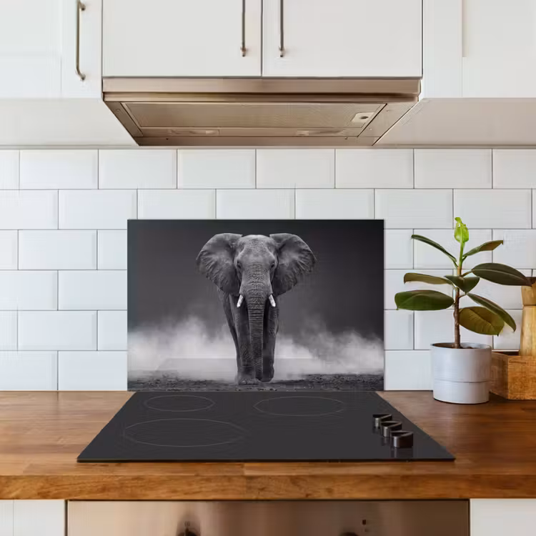 Spatscherm keuken - Olifant - Zwart - Wit - Rook — 6
