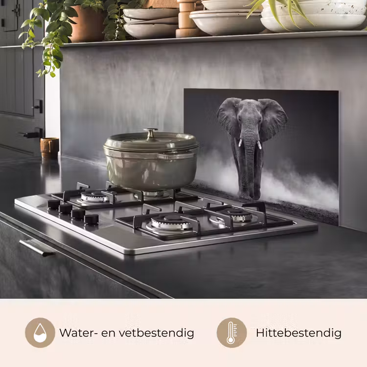Spatscherm keuken - Olifant - Zwart - Wit - Rook — 7