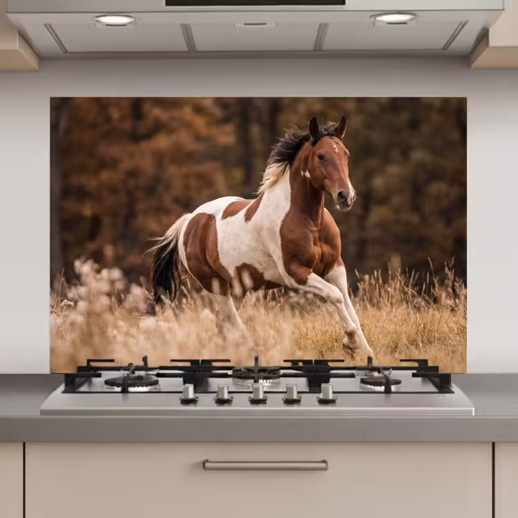 Spatscherm keuken - Paard - Bruin - Gras — 1