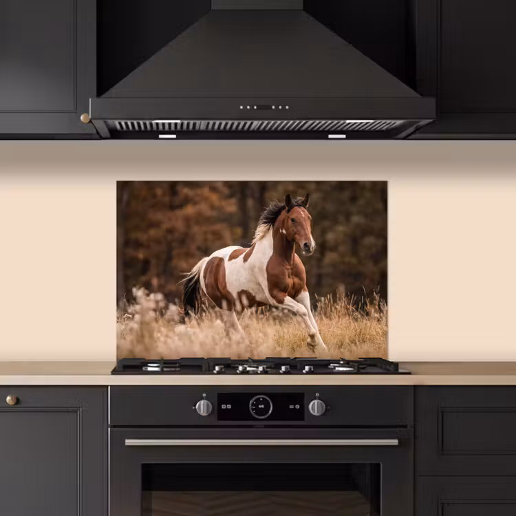 Spatscherm keuken - Paard - Bruin - Gras — 2