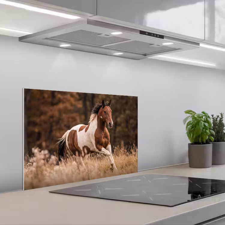 Spatscherm keuken - Paard - Bruin - Gras — 5