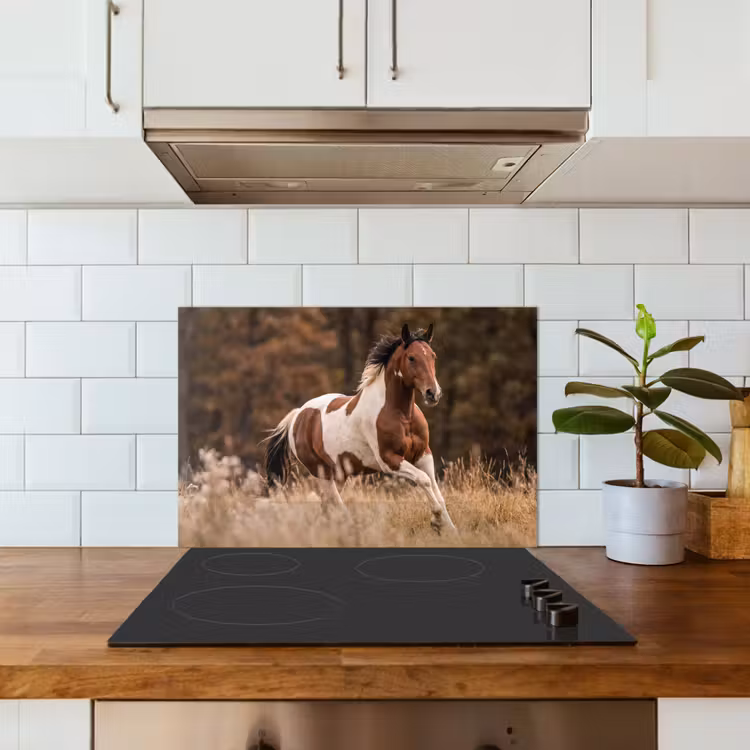 Spatscherm keuken - Paard - Bruin - Gras — 6