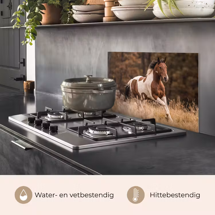 Spatscherm keuken - Paard - Bruin - Gras — 7