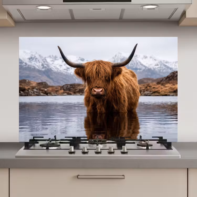 Spatscherm keuken - Schotse hooglander - Bruin - Water — 1