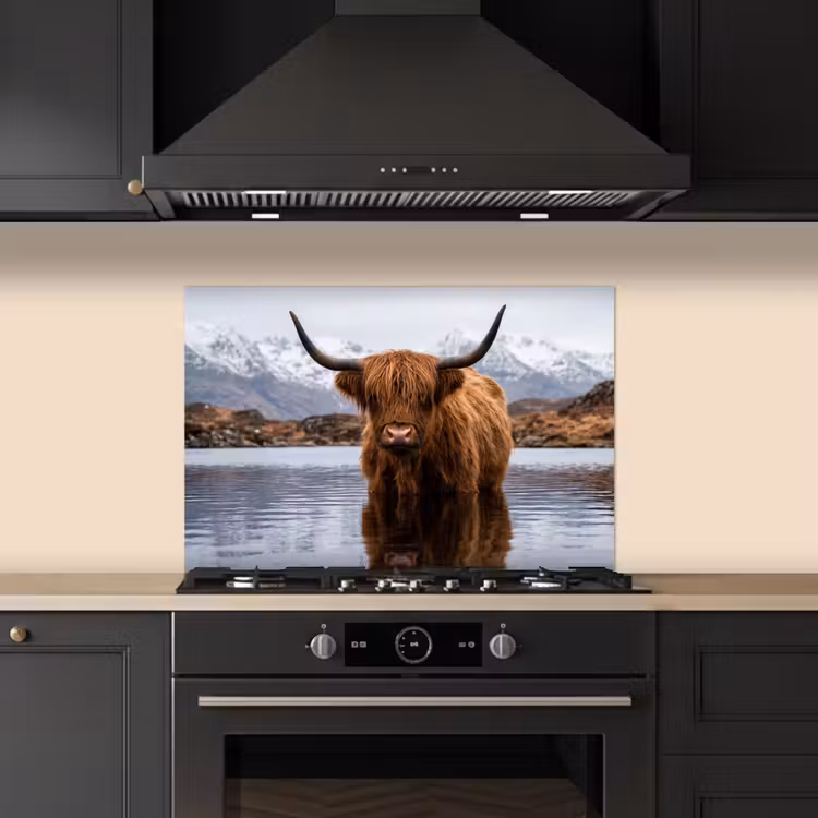 Spatscherm keuken - Schotse hooglander - Bruin - Water — 2
