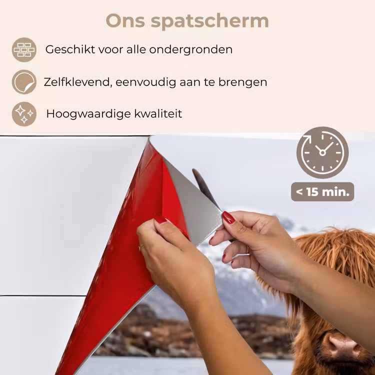 Spatscherm keuken - Schotse hooglander - Bruin - Water — 4