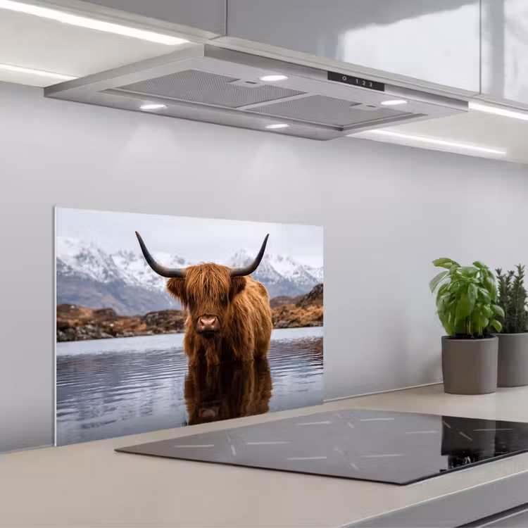 Spatscherm keuken - Schotse hooglander - Bruin - Water — 5