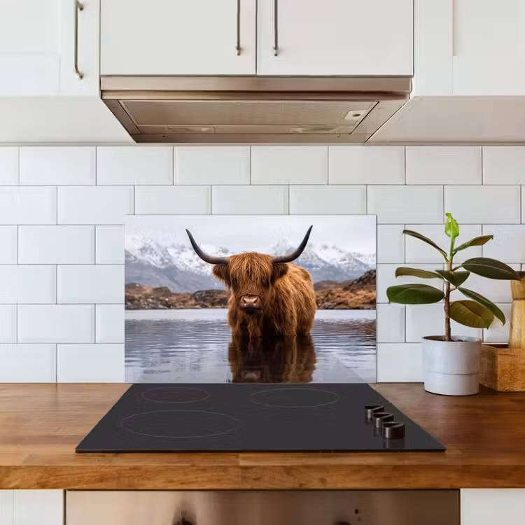 Spatscherm keuken - Schotse hooglander - Bruin - Water — 6