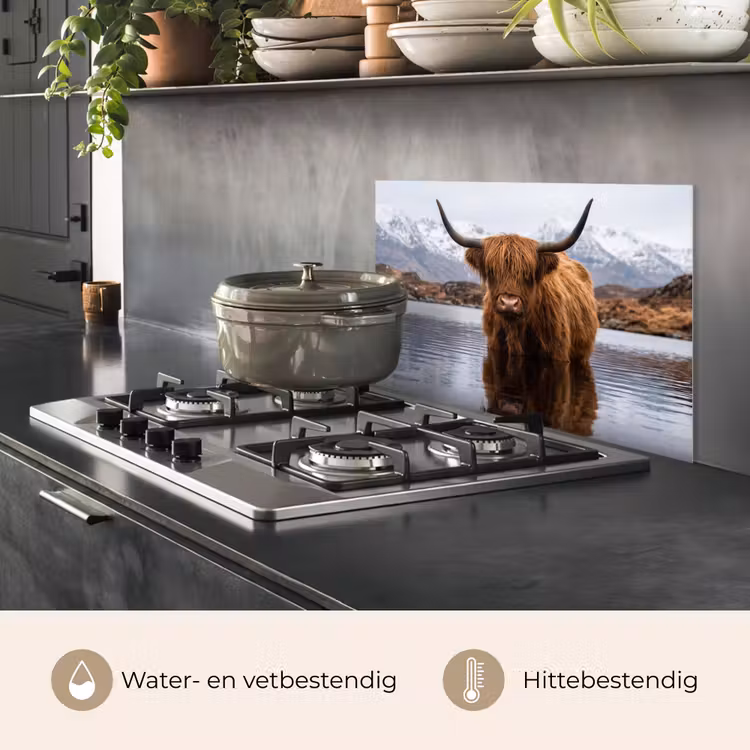Spatscherm keuken - Schotse hooglander - Bruin - Water — 7