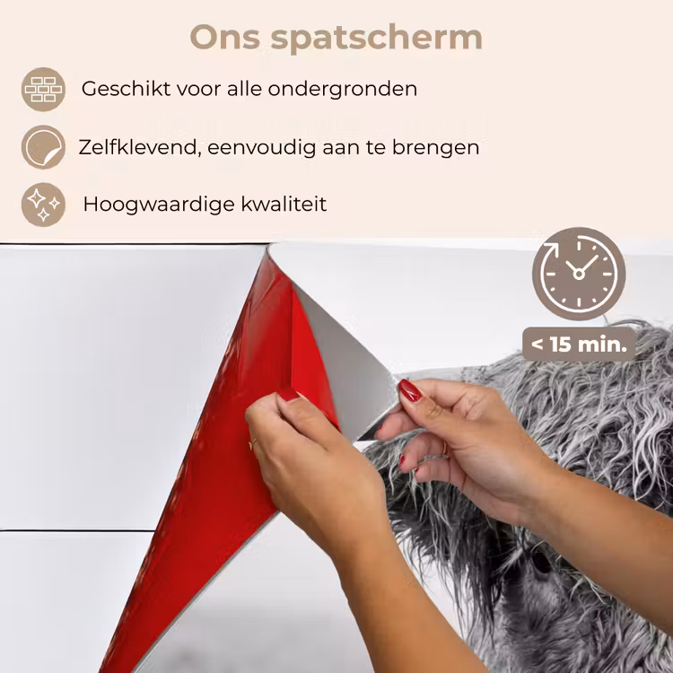 Spatscherm keuken - Schotse hooglander - Zwart - Wit - Gras — 4