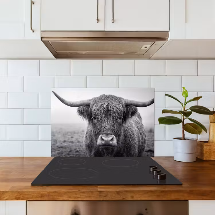 Spatscherm keuken - Schotse hooglander - Zwart - Wit - Gras — 6