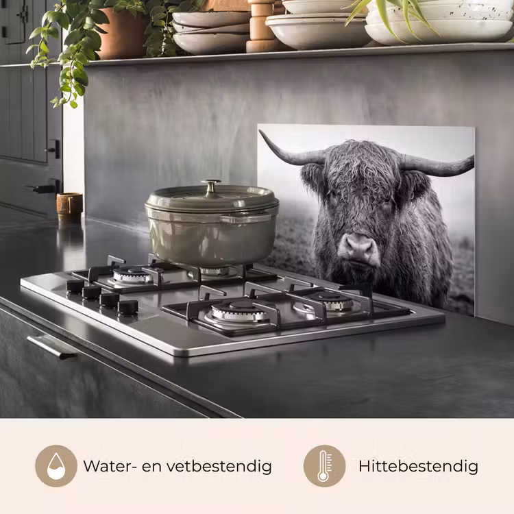 Spatscherm keuken - Schotse hooglander - Zwart - Wit - Gras — 7