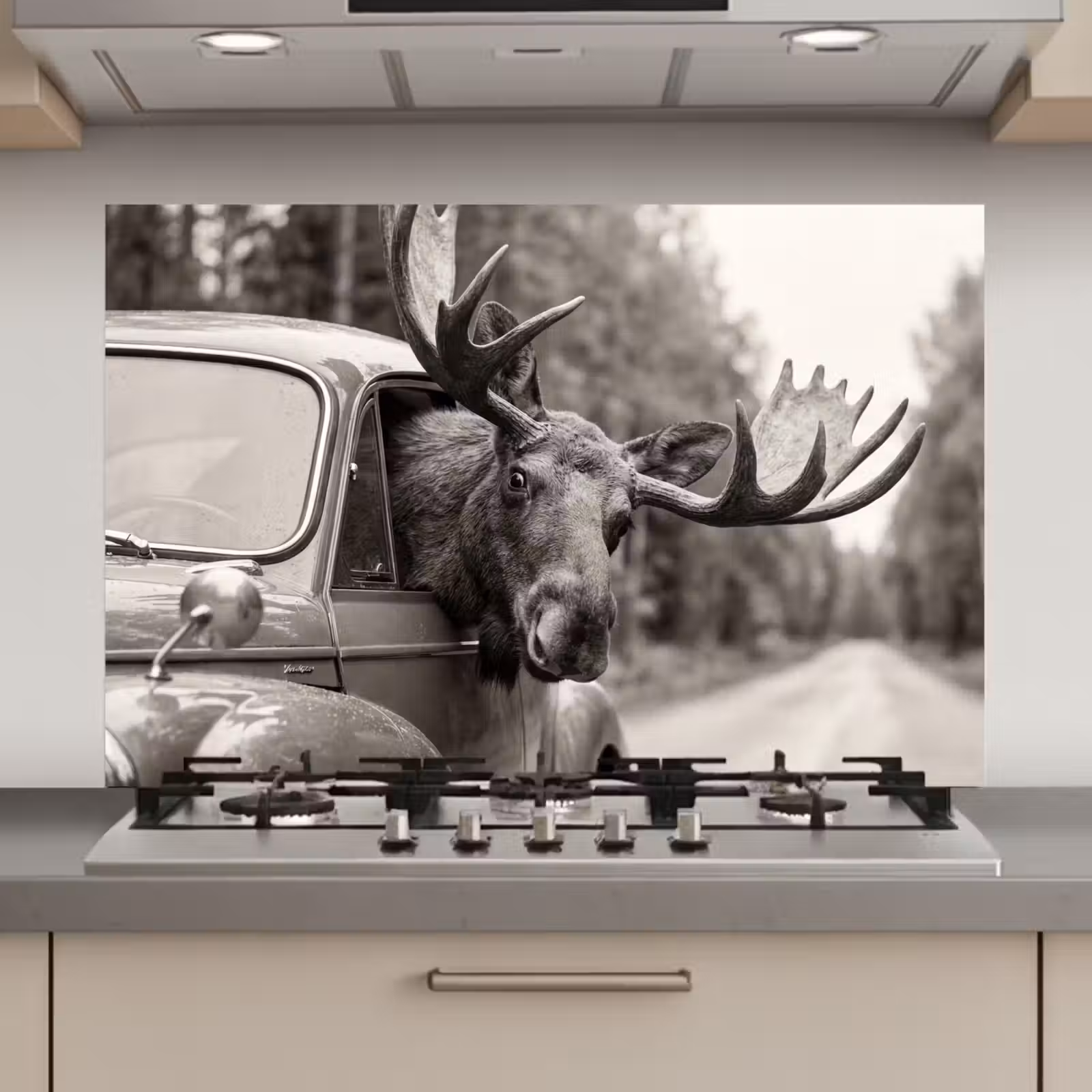 Spatscherm keuken - Eland - Auto - Gewei - Zwart - Wit — 1