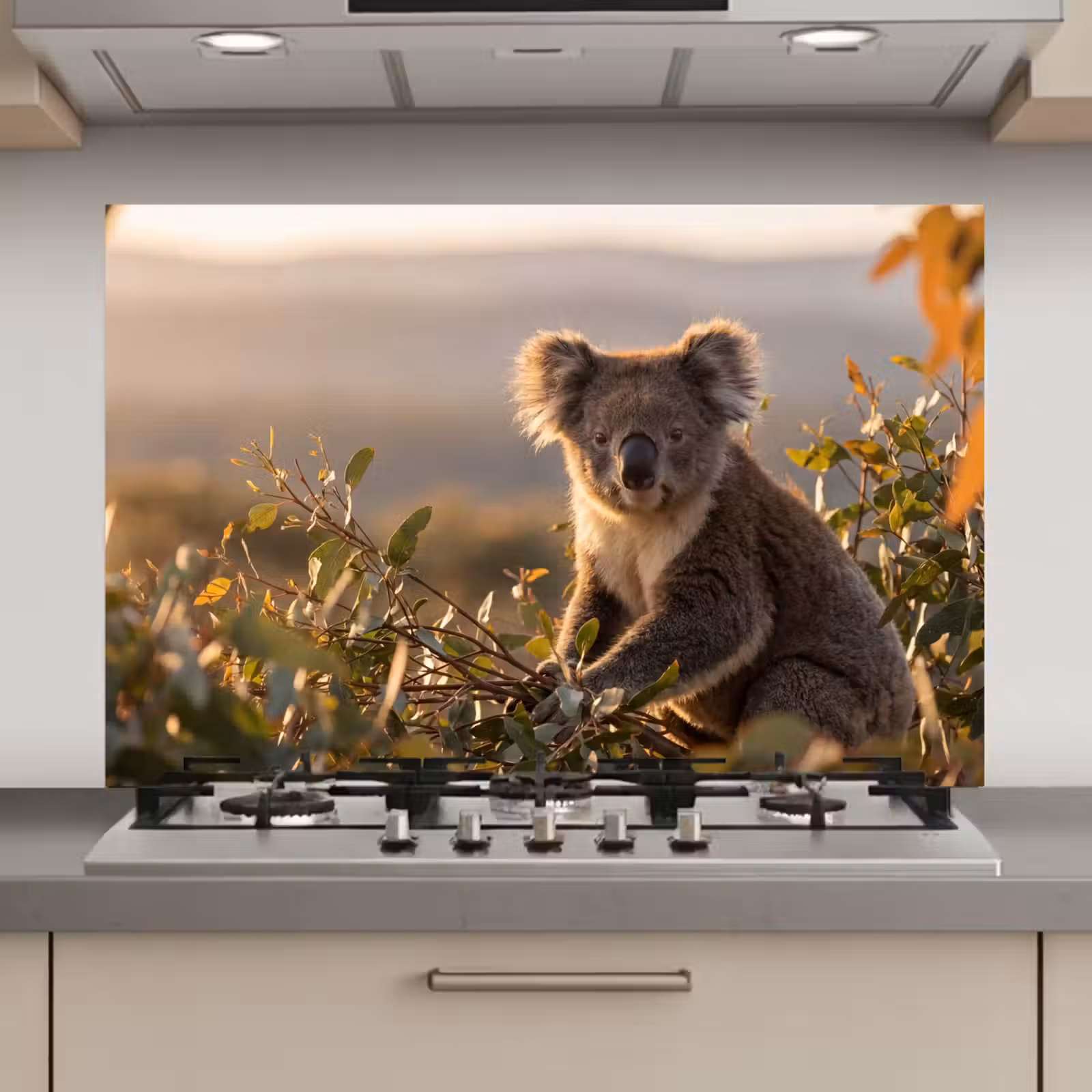Spatscherm keuken - Koala - Bladeren - Ochtendlicht — 1