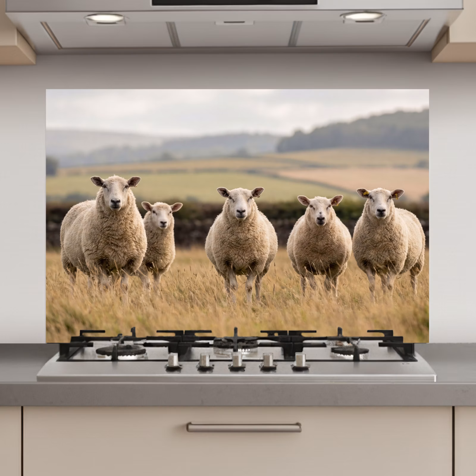 Spatscherm keuken - Schapen - Weidenlandschap - Heuvels — 1