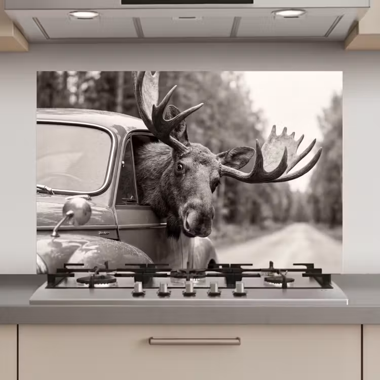 Spatscherm keuken - Eland - Auto - Gewei - Zwart - Wit — 1