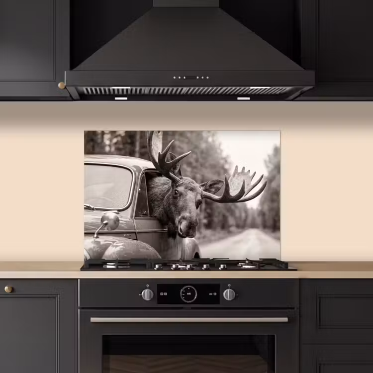 Spatscherm keuken - Eland - Auto - Gewei - Zwart - Wit — 2