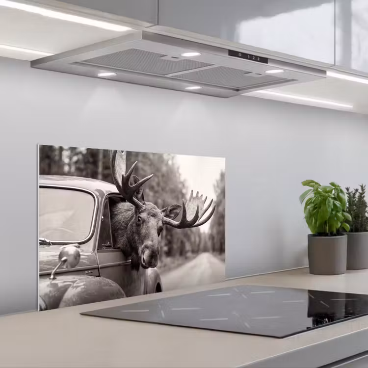 Spatscherm keuken - Eland - Auto - Gewei - Zwart - Wit — 5