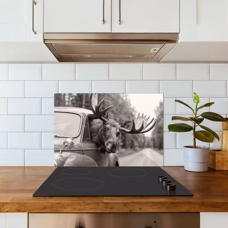 Spatscherm keuken - Eland - Auto - Gewei - Zwart - Wit — 6