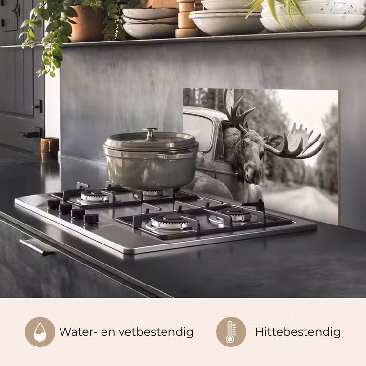 Spatscherm keuken - Eland - Auto - Gewei - Zwart - Wit — 7