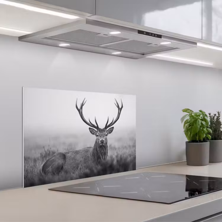 Spatscherm keuken - Hert - Mistig - Zwart - Wit — 5