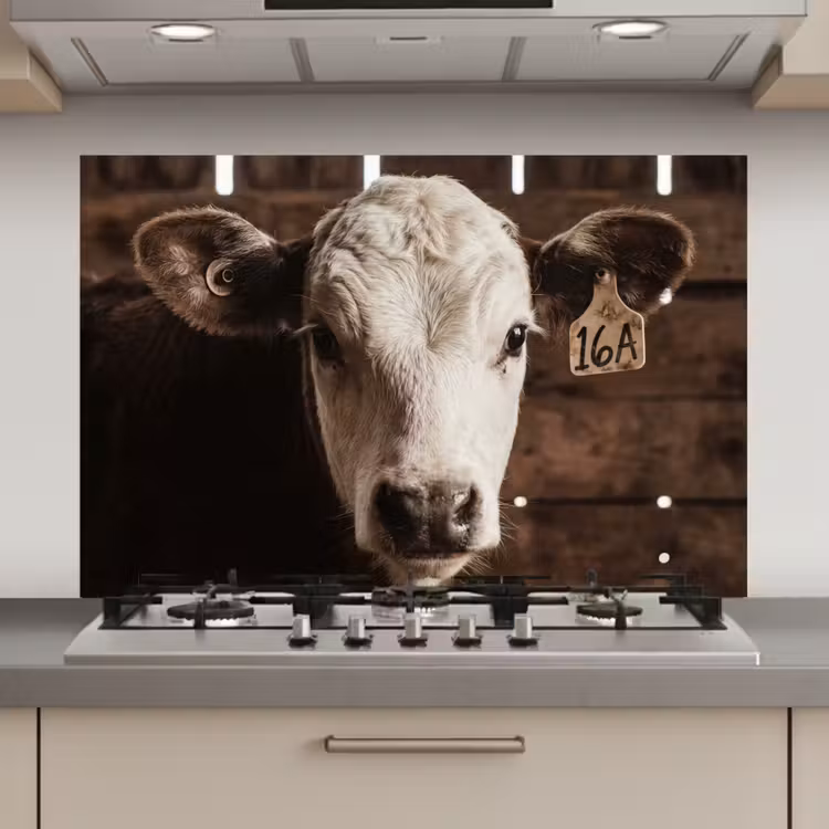 Spatscherm keuken - Kalf - Oormerk - Houten stal — 1