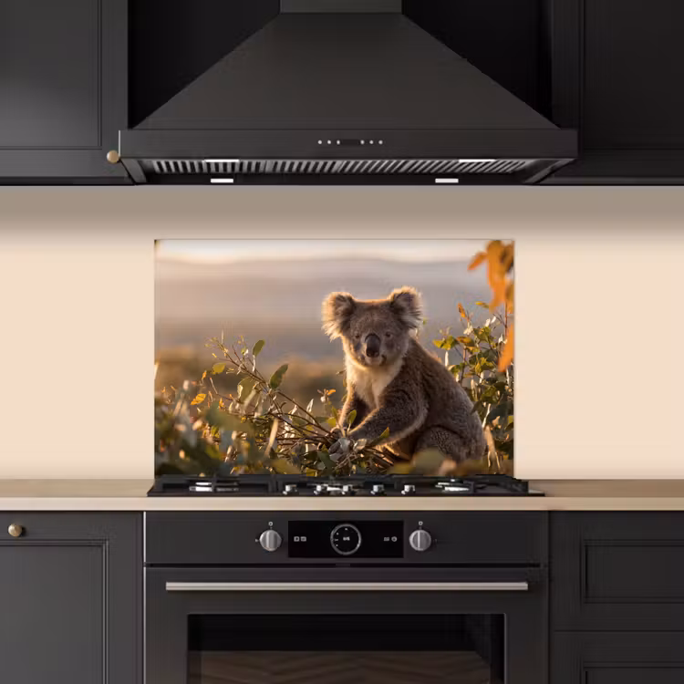 Spatscherm keuken - Koala - Bladeren - Ochtendlicht — 2