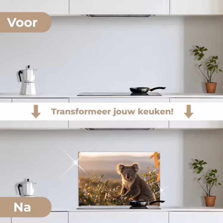Spatscherm keuken - Koala - Bladeren - Ochtendlicht — 3