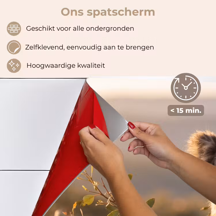 Spatscherm keuken - Koala - Bladeren - Ochtendlicht — 4